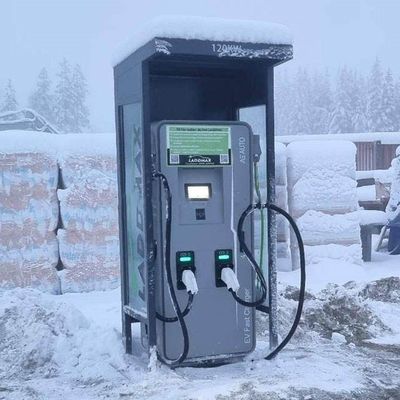 Handels-Versorgungs-Ausrüstung IP55 EV des Elektro-Mobil-120kw schnelles Ladegerät 60HZ DCs