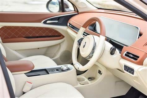 freundliche Elektro-Mobile 150km/h ECO 400KM ORA gute Cat Pure Electric Cars