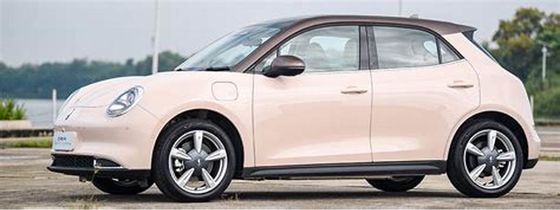 freundliche Elektro-Mobile 150km/h ECO 400KM ORA gute Cat Pure Electric Cars