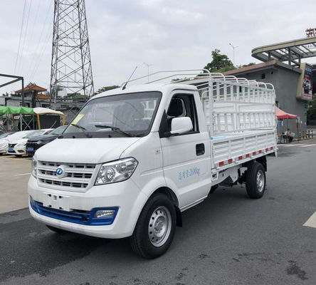 Elektrische Nutzfahrzeuge reiner elektrischer Van Vehicle Ruichi EC31L 300km 80km/h