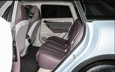 Automobilhochgeschwindigkeitselektro-mobile SUV New Energy Lingpao C11 für Erwachsene