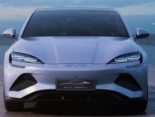 BYD-Dichtungs-Doppelbewegungselektroauto