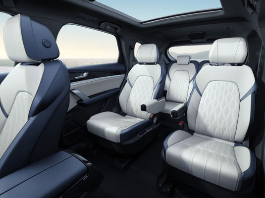 Hochgeschwindigkeits-Fahrzeuge BYD New Energy