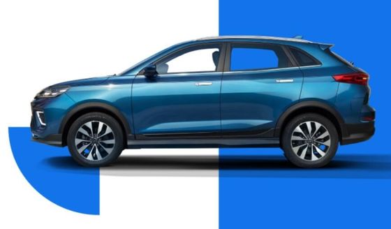 Großes Elektroauto SUV WM W6 Elektroauto-520KM 620KM New Energy Weltmeister