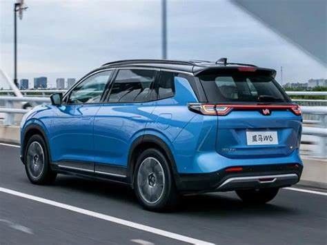 Großes Elektroauto SUV WM W6 Elektroauto-520KM 620KM New Energy Weltmeister