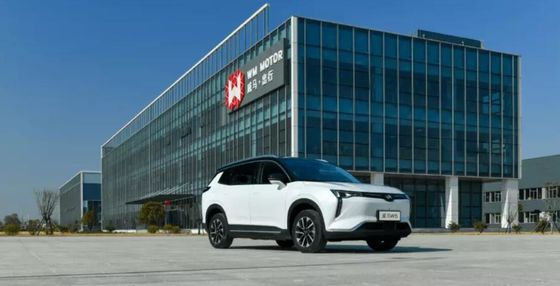 Großes Elektroauto SUV WM W6 Elektroauto-520KM 620KM New Energy Weltmeister