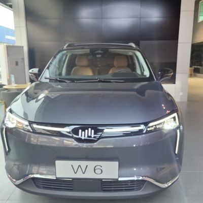 Großes Elektroauto SUV WM W6 Elektroauto-520KM 620KM New Energy Weltmeister