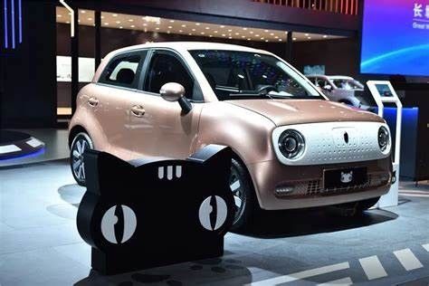 351KM elektrisches Mini-EV Autos Euler-Schwarzes Cat New Energy Vehices 102km/h für Dame