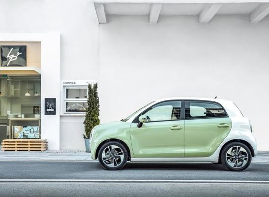 351KM elektrisches Mini-EV Autos Euler-Schwarzes Cat New Energy Vehices 102km/h für Dame
