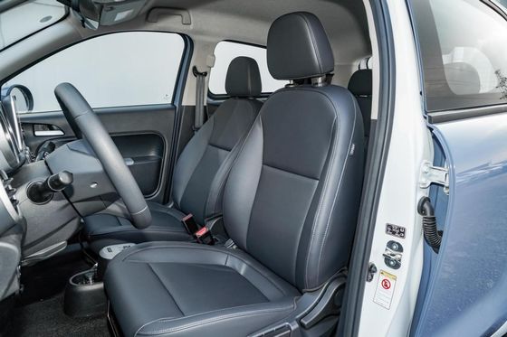 351KM elektrisches Mini-EV Autos Euler-Schwarzes Cat New Energy Vehices 102km/h für Dame