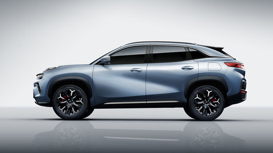 Elektroauto 301Km reines EV Hochgeschwindigkeits-100km/h Chery QQ Ant Mini SUV