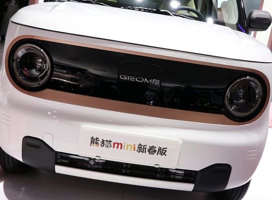 Sitzhecktürmodell elektrisches New Energy 120km NEDC Geely Panda Mini EV Auto-4