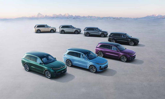 42.8kWh Batterie 6-Sitze- elektrisches SUV