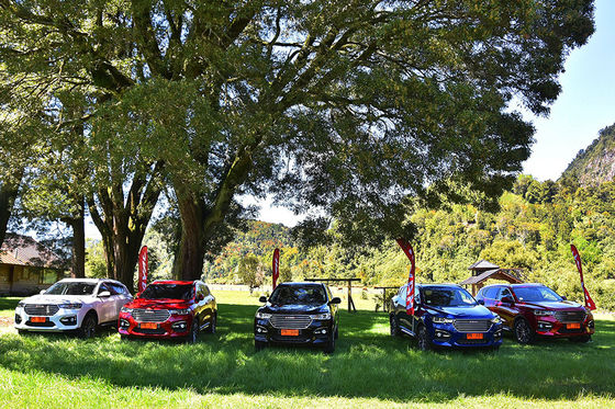 110km 4 Rad-Antriebs-Elektroautos GWM Haval H6 DHT PHEV schließen Hybridfahrzeuge an