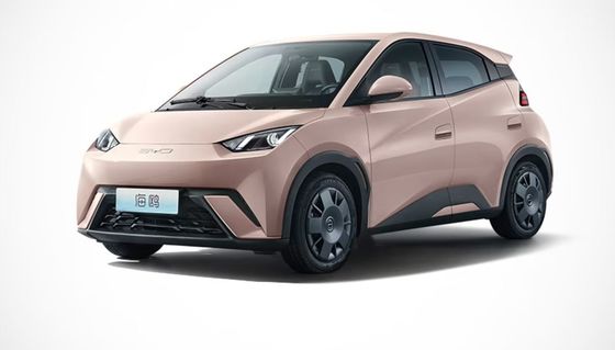 Hochleistungsmotor bis 2023 Neues Byd Seagull EV vollständig geschlossenes 4-Rad-Elektroauto