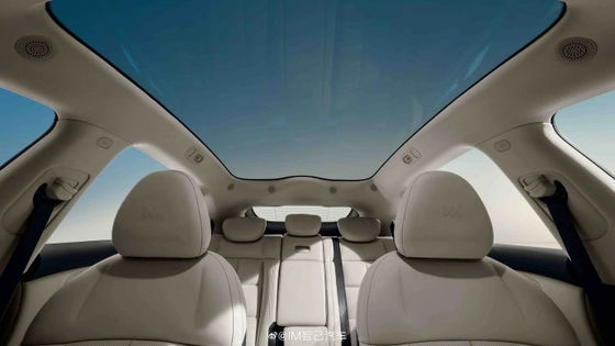 Zhiji LS6 maximale Leistung von 575 kW alle Elektroautos mit Höchstgeschwindigkeit von 252 km / h Elektro-Sportfahrzeug